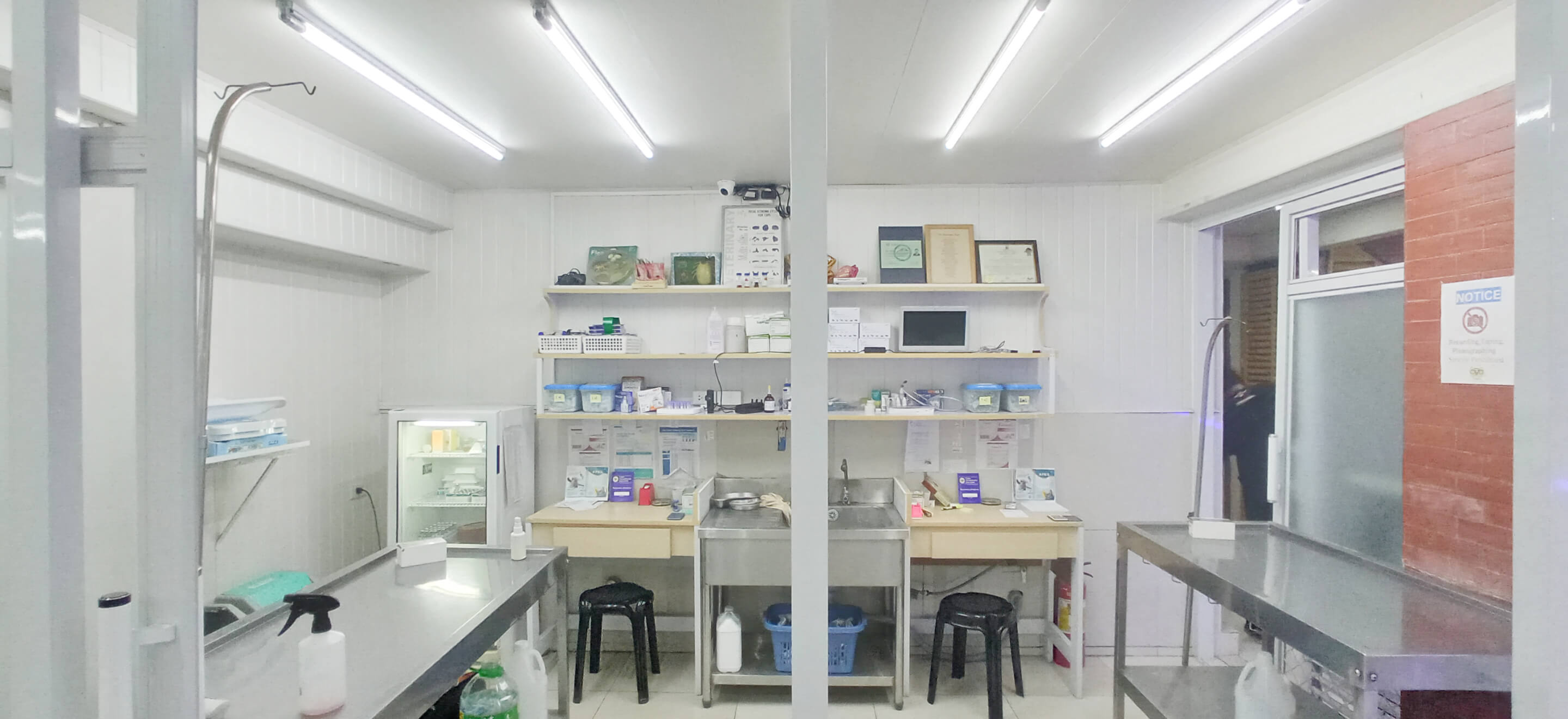 Cebu Veterinary Doctors